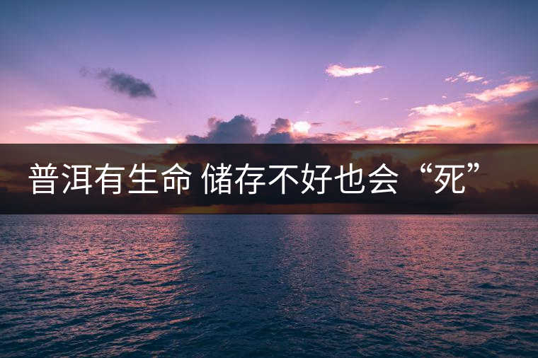 普洱有生命 儲存不好也會“死”去