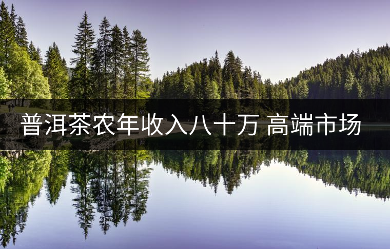 普洱茶農年收入八十萬 高端市場倍受追捧