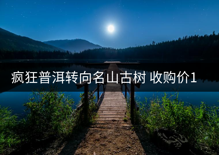 瘋狂普洱轉(zhuǎn)向名山古樹(shù) 收購(gòu)價(jià)1年漲兩三倍