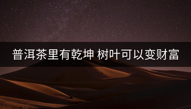 普洱茶里有乾坤 樹葉可以變財(cái)富