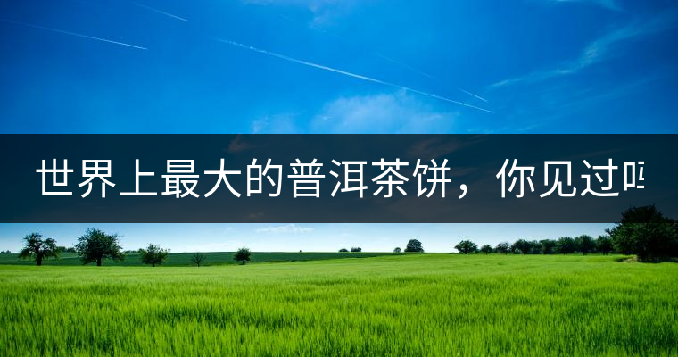 世界上最大的普洱茶餅，你見過嗎？