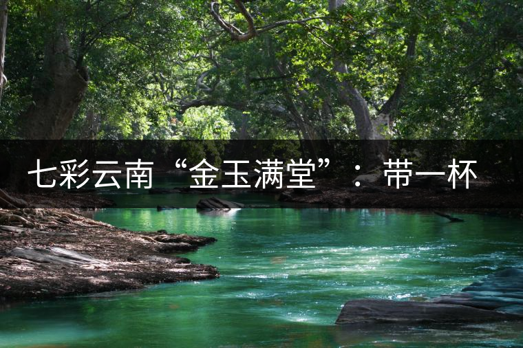 七彩云南“金玉滿堂”：帶一杯團(tuán)圓的茶香回家