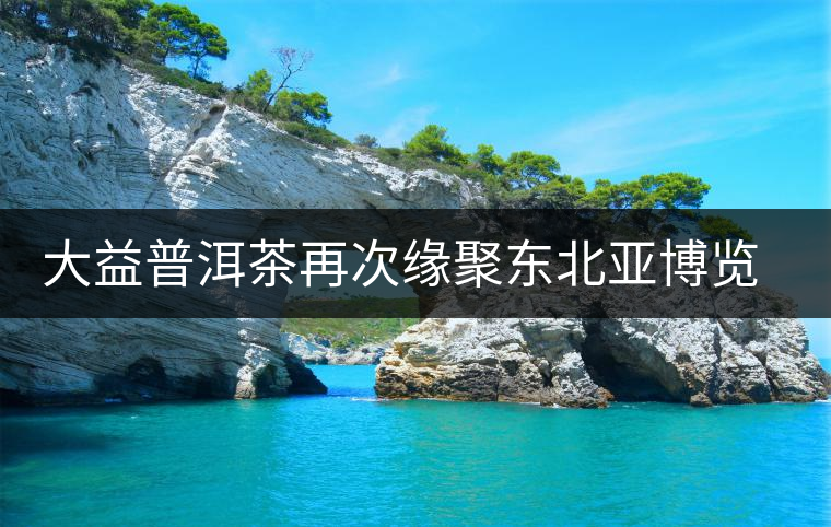 大益普洱茶再次緣聚東北亞博覽會 大益普洱茶再次緣聚東北亞博覽會
