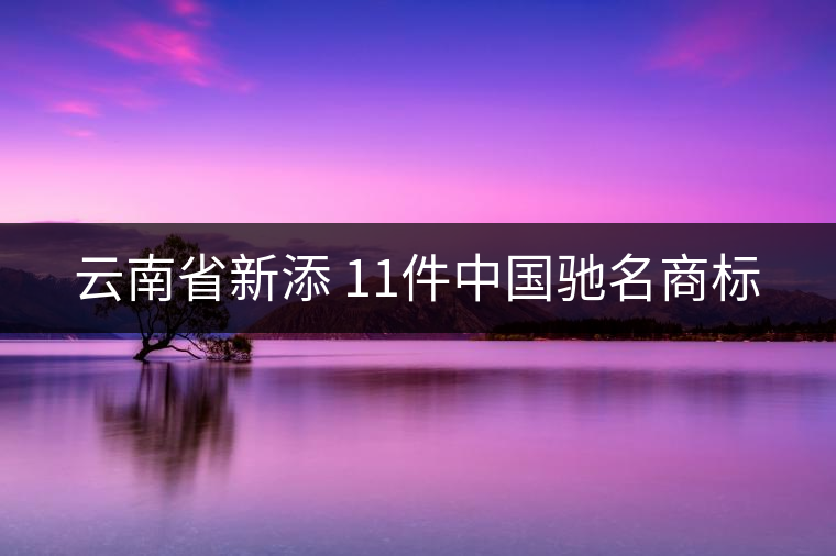 云南省新添 11件中國馳名商標