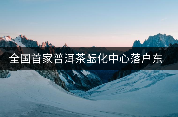 全國首家普洱茶醞化中心落戶東莞