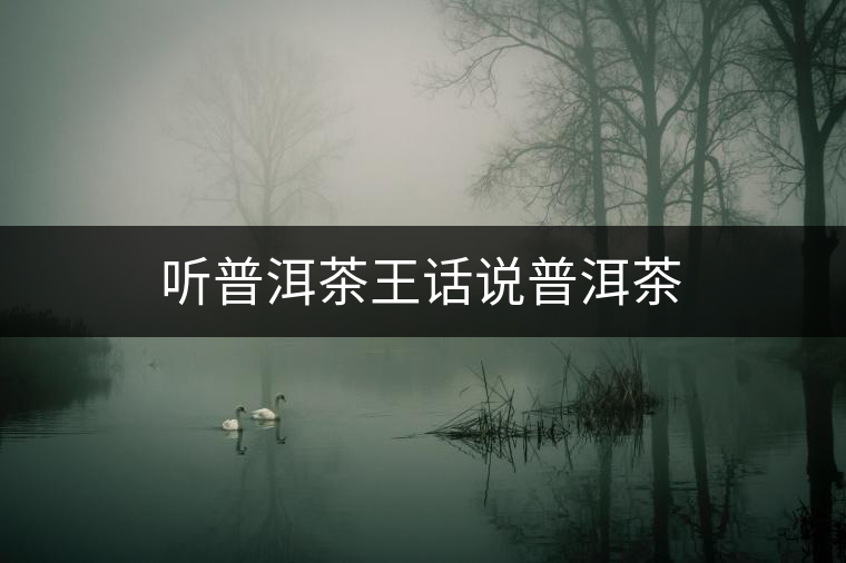聽普洱茶王話說普洱茶