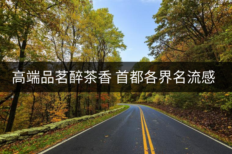 高端品茗醉茶香 首都各界名流感受普洱茶