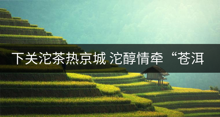 下關(guān)沱茶熱京城 沱醇情牽“蒼洱”緣