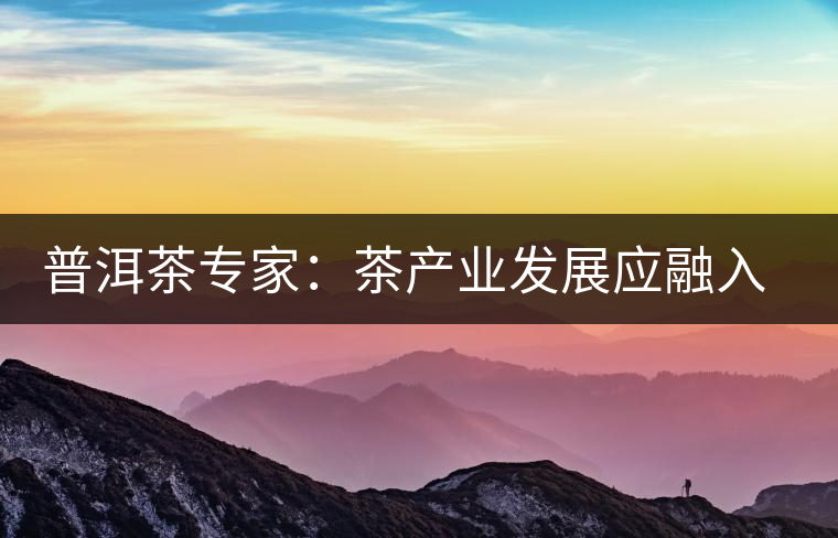 普洱茶專家：茶產業(yè)發(fā)展應融入“大健康”理念