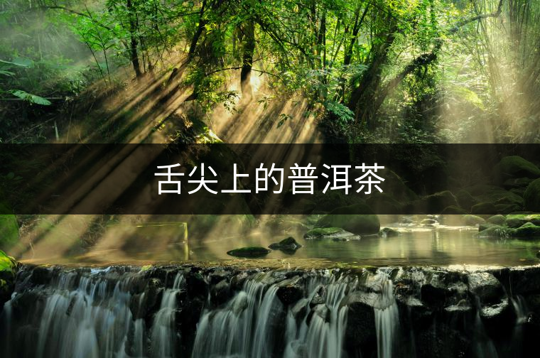 舌尖上的普洱茶