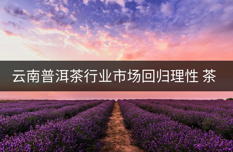 云南普洱茶行業(yè)市場回歸理性 茶商發(fā)力消費(fèi)市場