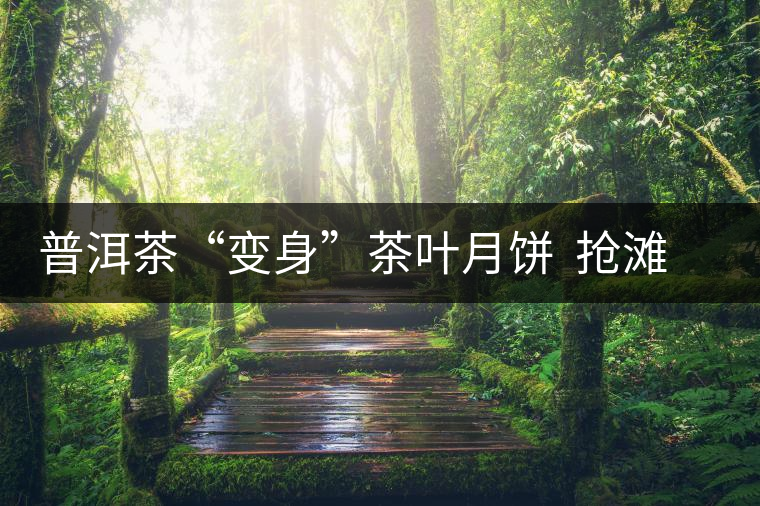 普洱茶“變身”茶葉月餅  搶灘中秋市場