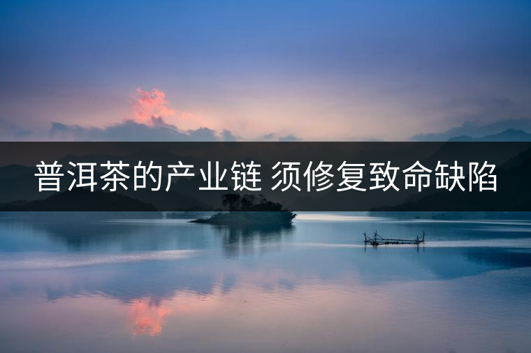 普洱茶的產(chǎn)業(yè)鏈 須修復致命缺陷