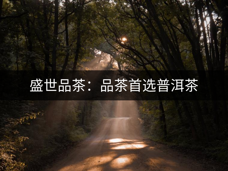 盛世品茶：品茶首選普洱茶