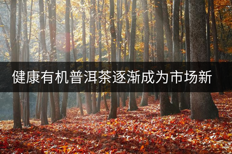 健康有機普洱茶逐漸成為市場新寵 健康有機普洱茶逐漸成為市場新寵