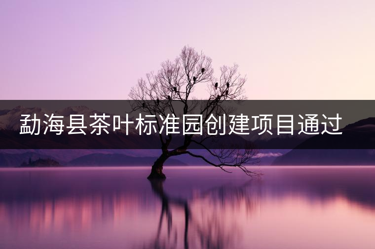 勐?？h茶葉標(biāo)準(zhǔn)園創(chuàng)建項目通過省級驗收