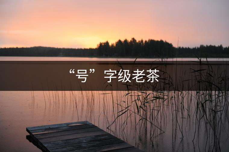 “號”字級老茶 “號”字級老茶