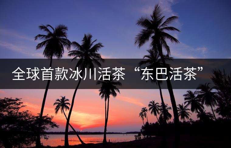 全球首款冰川活茶“東巴活茶”上市