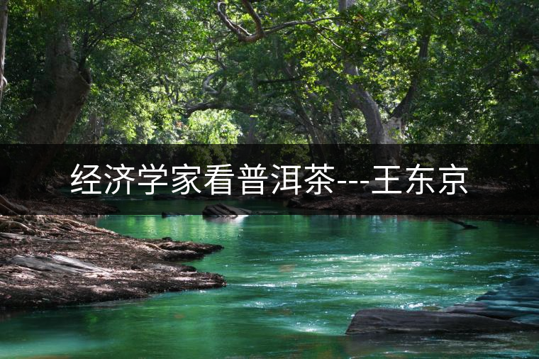 經(jīng)濟(jì)學(xué)家看普洱茶---王東京