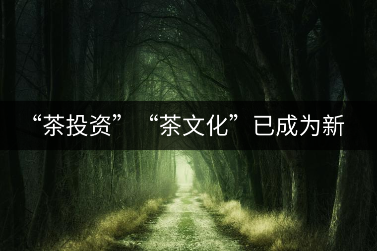 “茶投資”“茶文化”已成為新時(shí)代名詞
