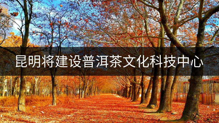 昆明將建設(shè)普洱茶文化科技中心