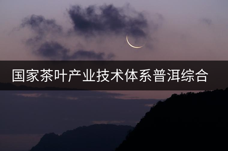 國家茶葉產(chǎn)業(yè)技術(shù)體系普洱綜合試驗(yàn)站召開“十二五”工作培訓(xùn)會(huì)