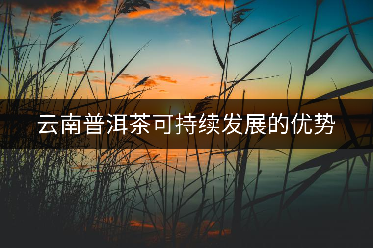云南普洱茶可持續(xù)發(fā)展的優(yōu)勢(shì)