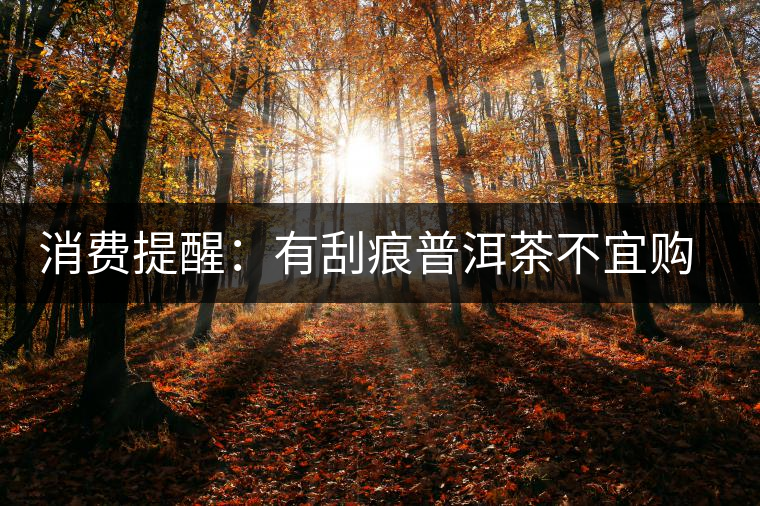 消費提醒：有刮痕普洱茶不宜購買