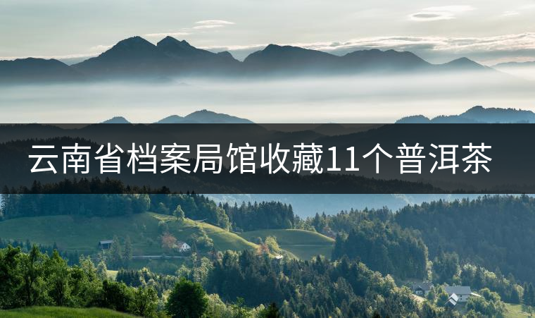 云南省檔案局館收藏11個(gè)普洱茶樣品