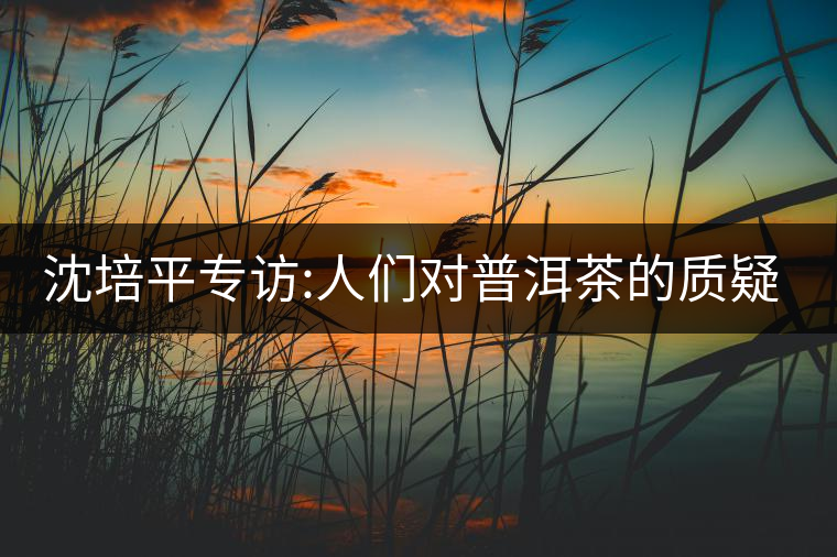 沈培平專訪:人們對普洱茶的質(zhì)疑有三大好處