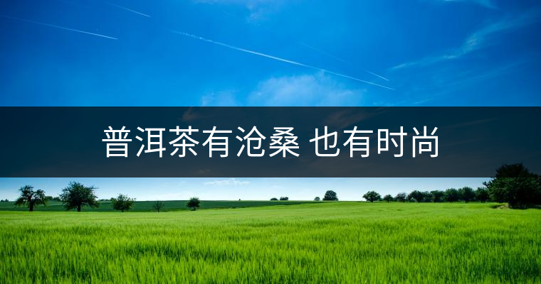 普洱茶有滄桑 也有時尚