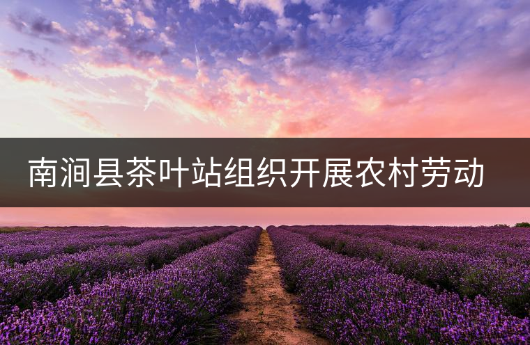 南澗縣茶葉站組織開(kāi)展農(nóng)村勞動(dòng)力轉(zhuǎn)移培訓(xùn) 南澗縣茶葉站組織開(kāi)展農(nóng)村勞動(dòng)力轉(zhuǎn)移培訓(xùn)
