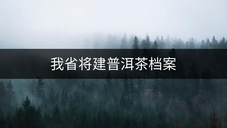 我省將建普洱茶檔案
