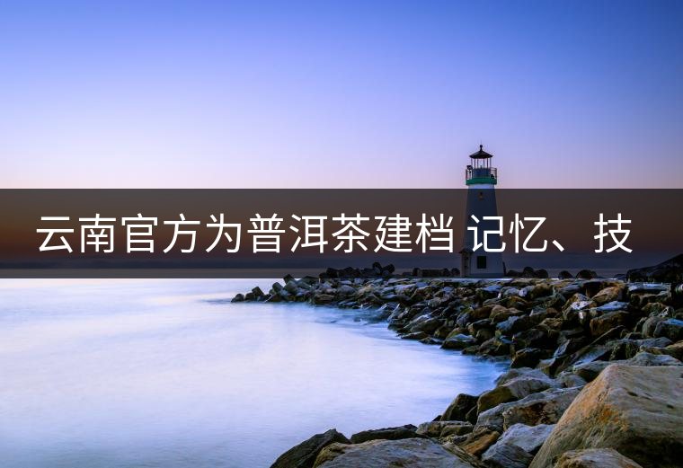 云南官方為普洱茶建檔 記憶、技藝雙傳承