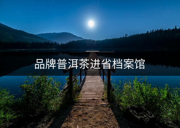 品牌普洱茶進(jìn)省檔案館