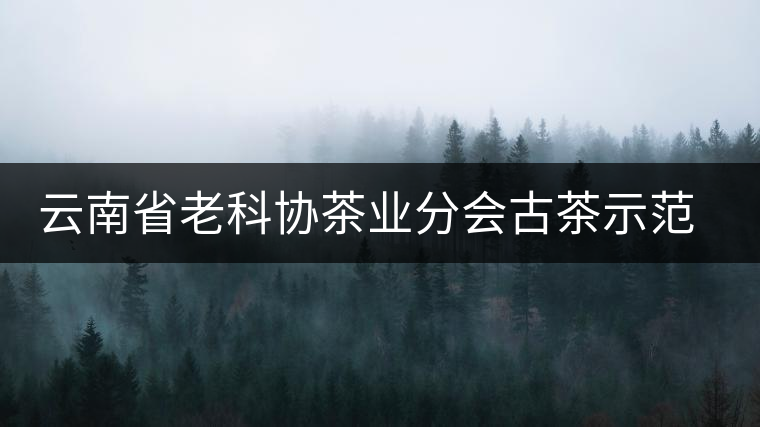 云南省老科協(xié)茶業(yè)分會(huì)古茶示范園實(shí)施建檔保護(hù)