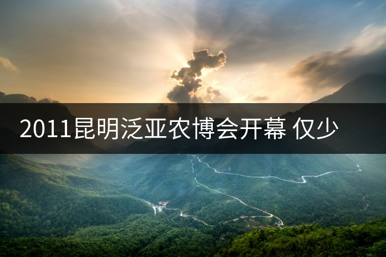 2011昆明泛亞農(nóng)博會(huì)開(kāi)幕 僅少數(shù)茶企參展