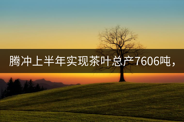 騰沖上半年實(shí)現(xiàn)茶葉總產(chǎn)7606噸，總產(chǎn)值5.58億元