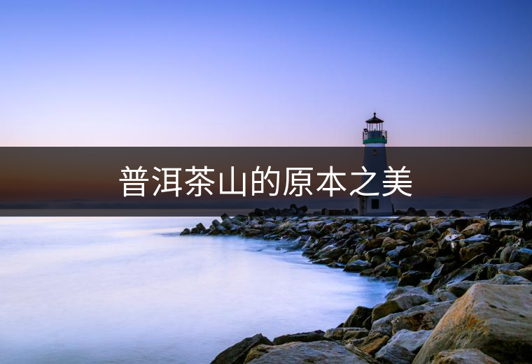 普洱茶山的原本之美