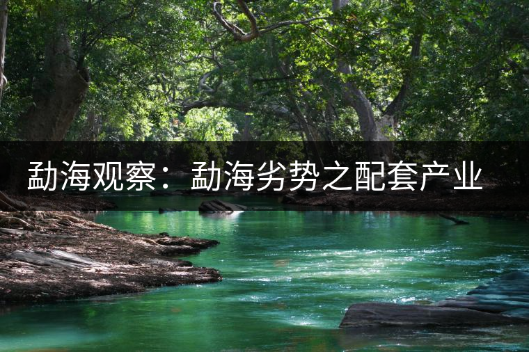 勐海觀察：勐海劣勢(shì)之配套產(chǎn)業(yè)篇