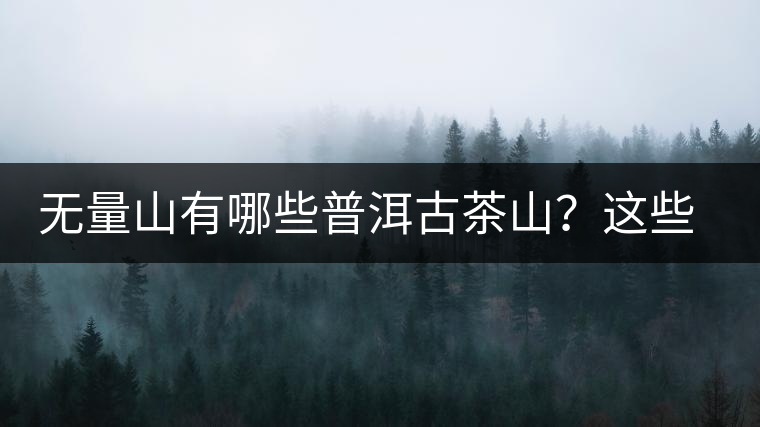無量山有哪些普洱古茶山？這些古茶山的茶葉怎么樣？