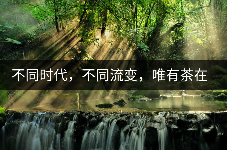 不同時代，不同流變，唯有茶在傳承