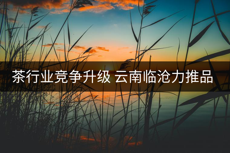 茶行業(yè)競(jìng)爭(zhēng)升級(jí) 云南臨滄力推品牌茶區(qū)