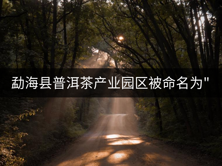 勐?？h普洱茶產(chǎn)業(yè)園區(qū)被命名為