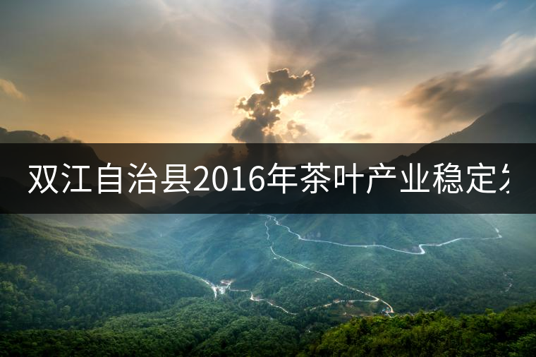 雙江自治縣2016年茶葉產(chǎn)業(yè)穩(wěn)定發(fā)展，全縣茶葉實現(xiàn)總產(chǎn)量11115.2噸