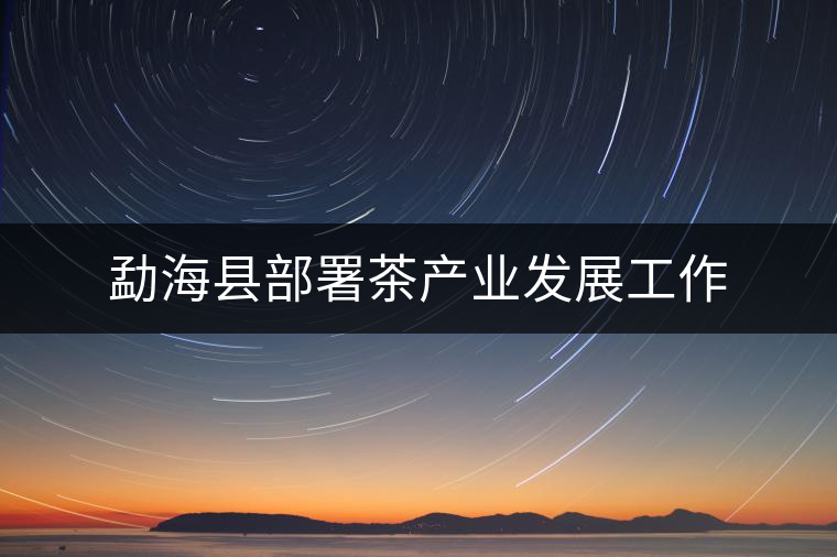 勐?？h部署茶產(chǎn)業(yè)發(fā)展工作