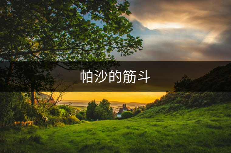 帕沙的筋斗