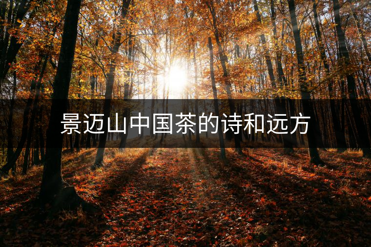 景邁山中國(guó)茶的詩(shī)和遠(yuǎn)方