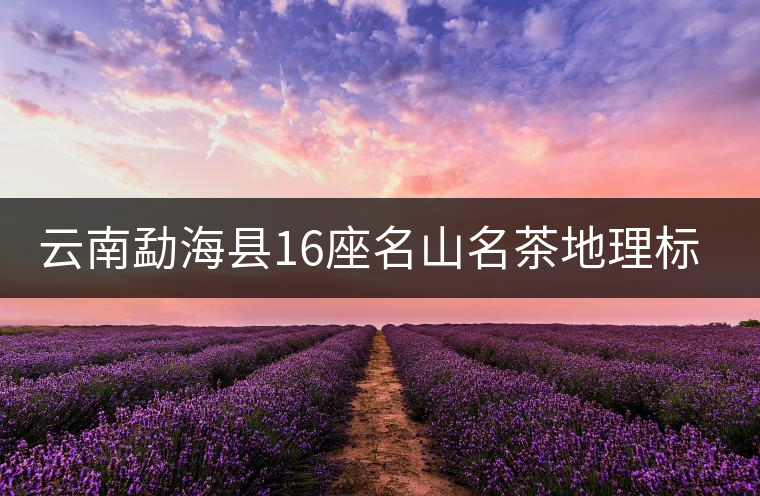 云南勐海縣16座名山名茶地理標(biāo)志證明商標(biāo)申報(bào)完成
