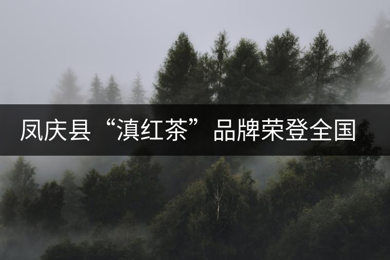 鳳慶縣“滇紅茶”品牌榮登全國(guó)區(qū)域品牌價(jià)值百?gòu)?qiáng)榜
